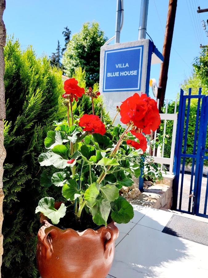 Villa Blue House Nea Kallikrateia Kültér fotó